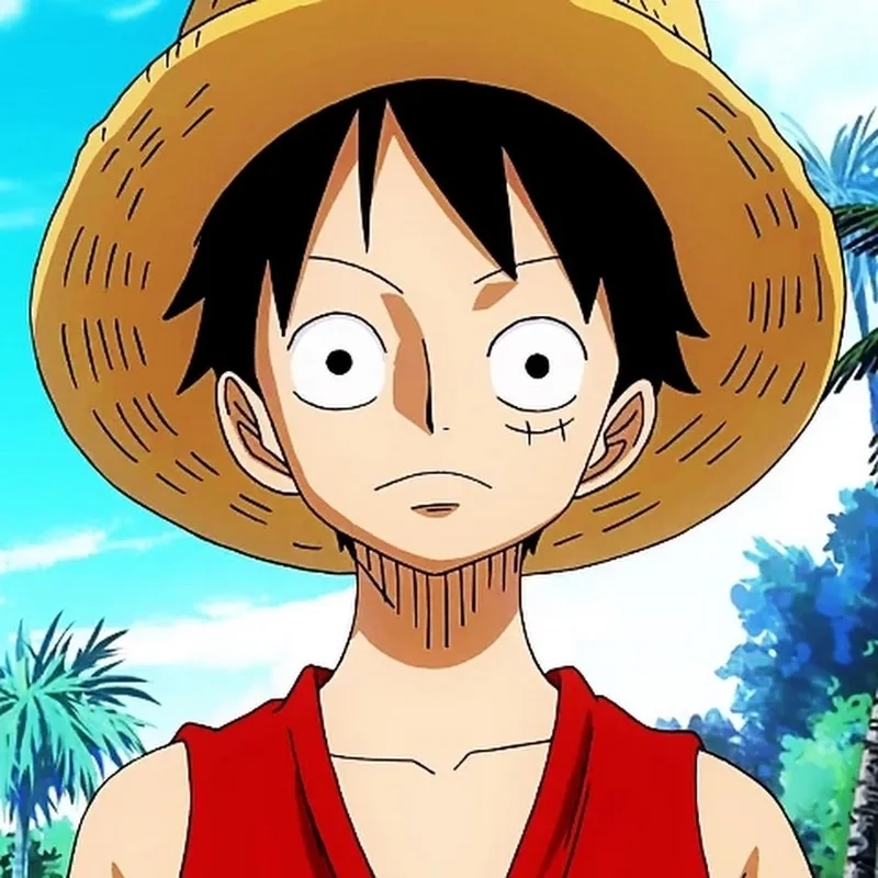 Luffy Monkey D Luffy chàng trai trẻ với ý chí thép và sức mạnh ngày càng phát triển