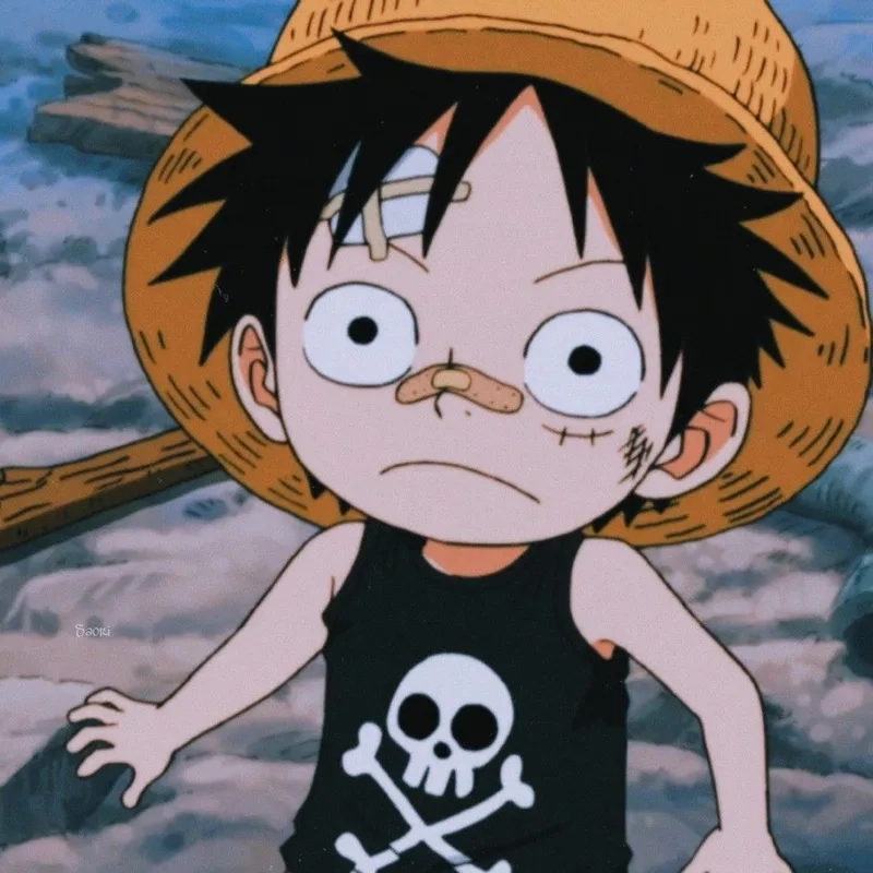 Cute Luffy những khoảnh khắc đáng yêu của thuyền trưởng Mũ Rơm trong suốt hành trình