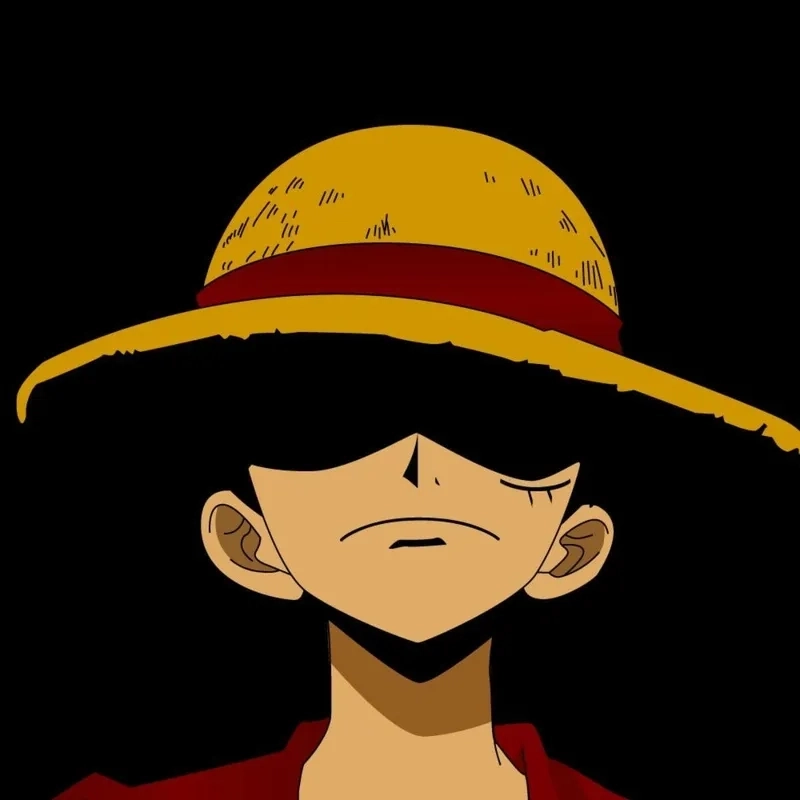 Luffy Monkey D Luffy người sở hữu trái ác quỷ huyền thoại, chiến binh của tự do