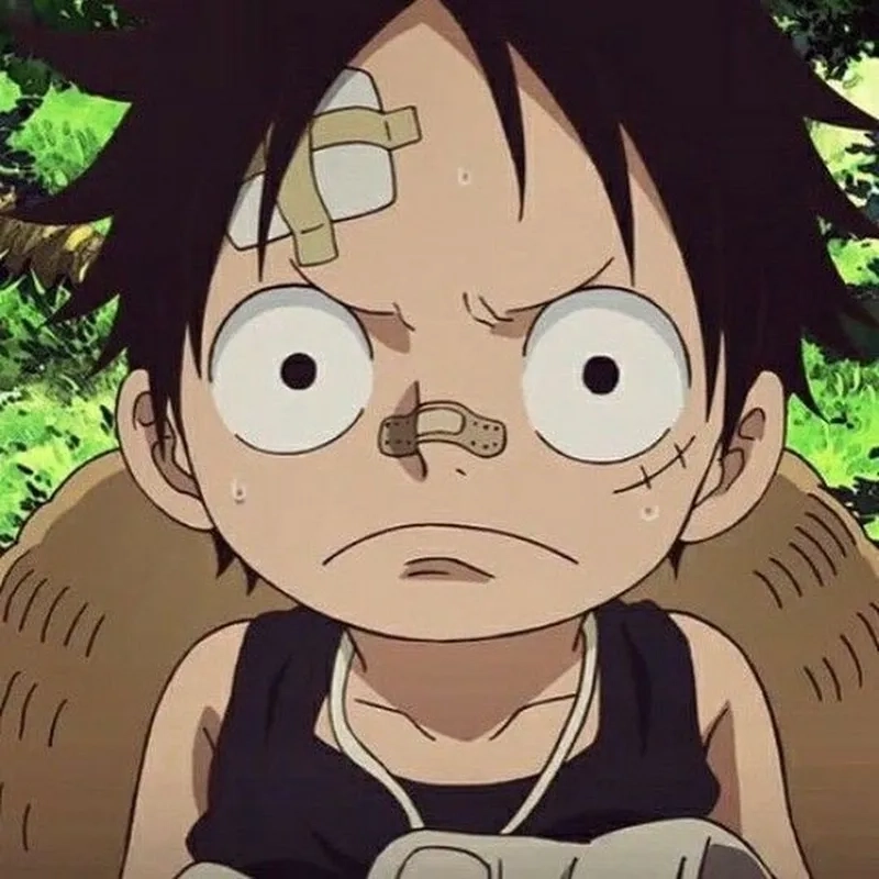 One Piece Monkey D Luffy hành trình trở thành Vua Hải Tặc với vô số thử thách cam go