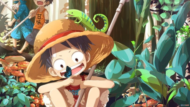 Luffy Dressrosa trận chiến căng thẳng đánh bại Doflamingo và giải phóng vương quốc