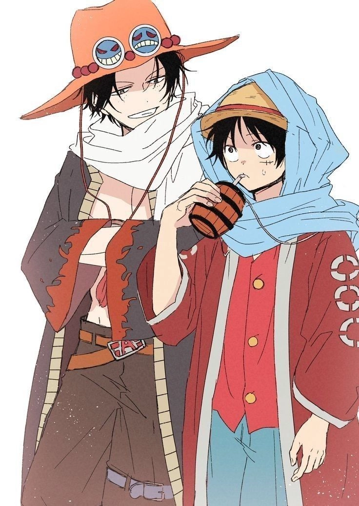 Luffy and Ace ký ức tuổi thơ đầy ước mơ và phiêu lưu