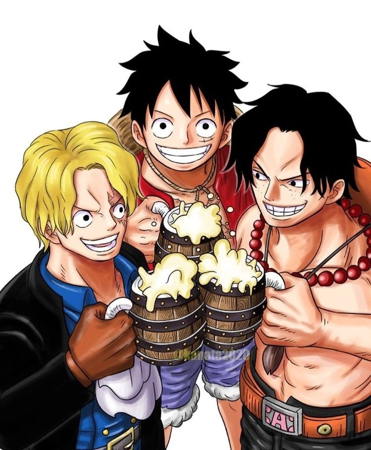 Sabo Luffy Ace huyết thống không quan trọng, chỉ có tình anh em