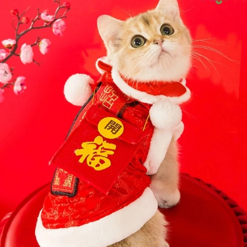 Đáng yêu hết cỡ với meme mèo ngày tết