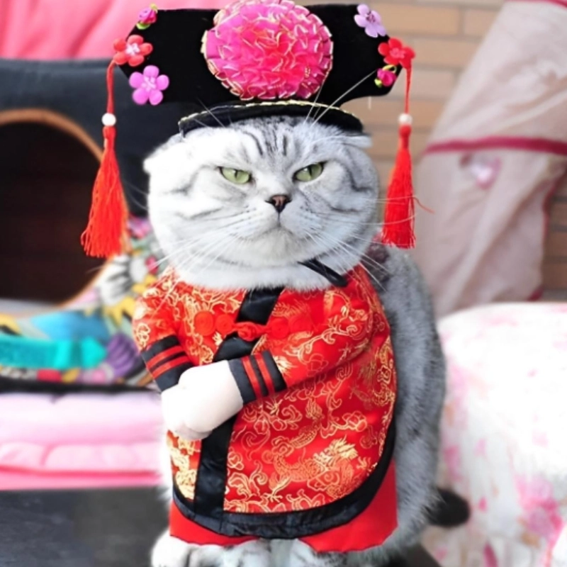 Vui vẻ bên meme mèo đón tết siêu cute