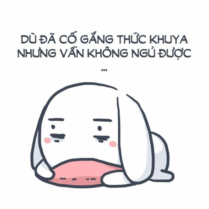 Khi cơn buồn ngủ ập đến, hình ảnh buồn ngủ hài hước nói lên tất cả