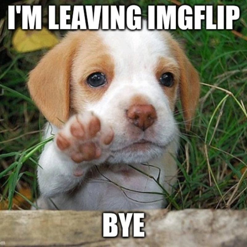 Một chút đáng yêu với bye bye cute, ai nỡ rời xa cơ chứ