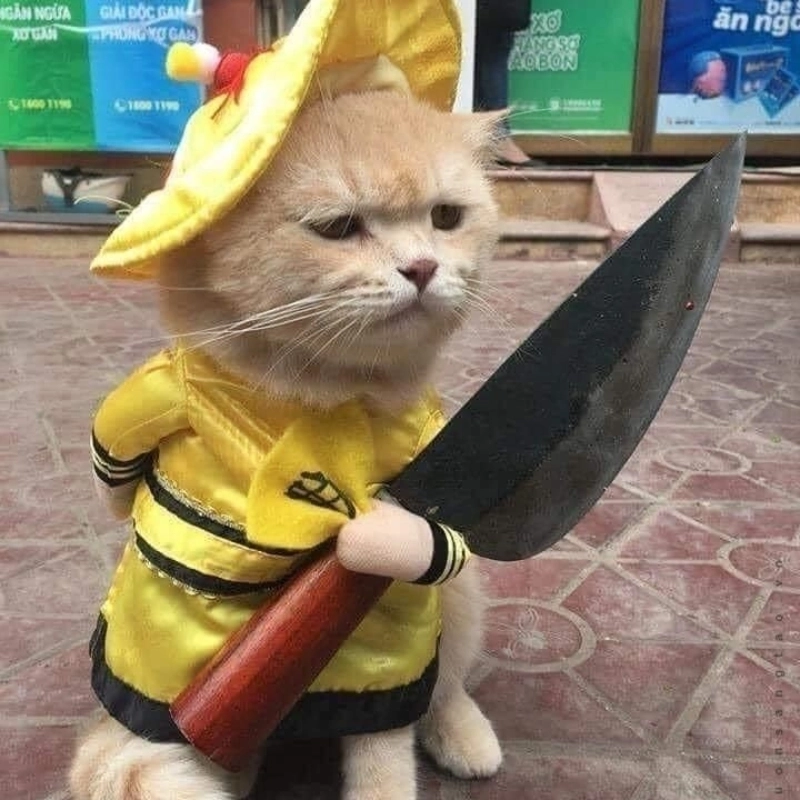 Ai cũng sợ meme mèo cầm dao, nhưng lại không nhịn được cười