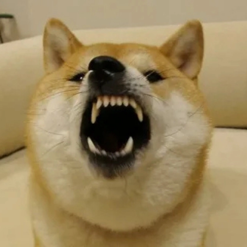 Biểu cảm đỉnh cao của Meme chó vàng Khiến ai cũng cười