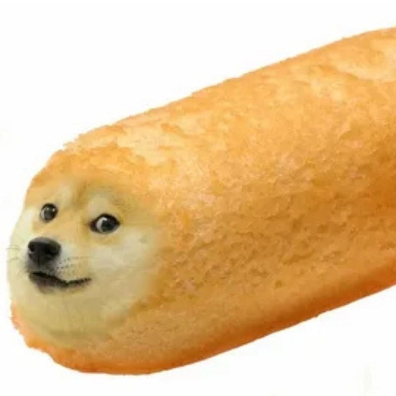 Xem ngay Chó vàng meme Với gương mặt không thể đỡ nổi