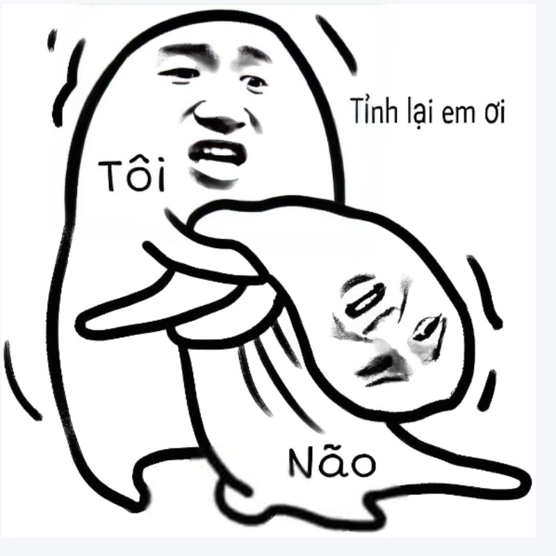 Khi IQ không đồng đều, meme não bé chửi não to chính là minh chứng