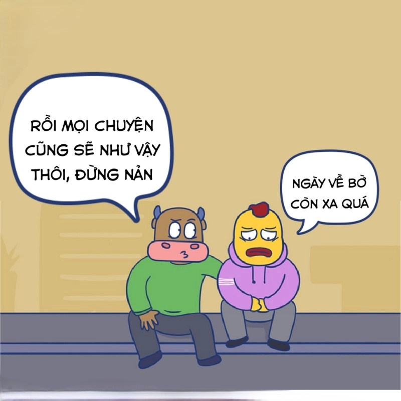 Lấy lại tinh thần với động viên meme ngay