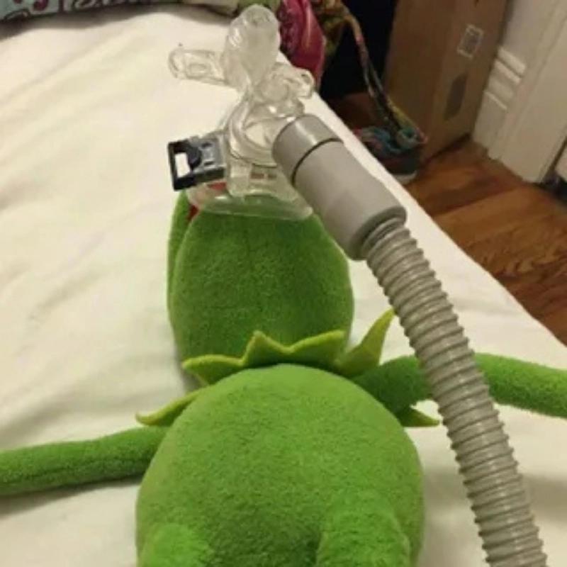 Chú ếch Pepe và những câu chuyện thú vị ếch meme
