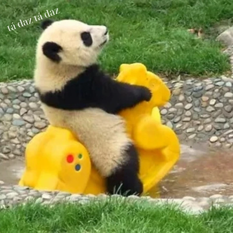 Tổng hợp ảnh hài hước meme gấu trúc bá đạo nhất