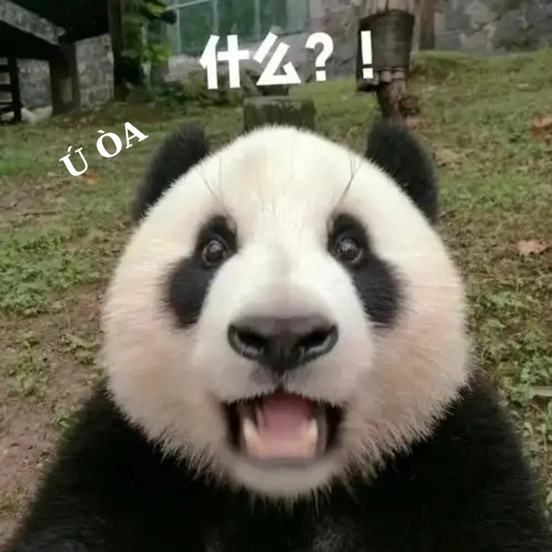 Cười bể bụng với ảnh hài weibo meme gấu trúc troll face hot nhất