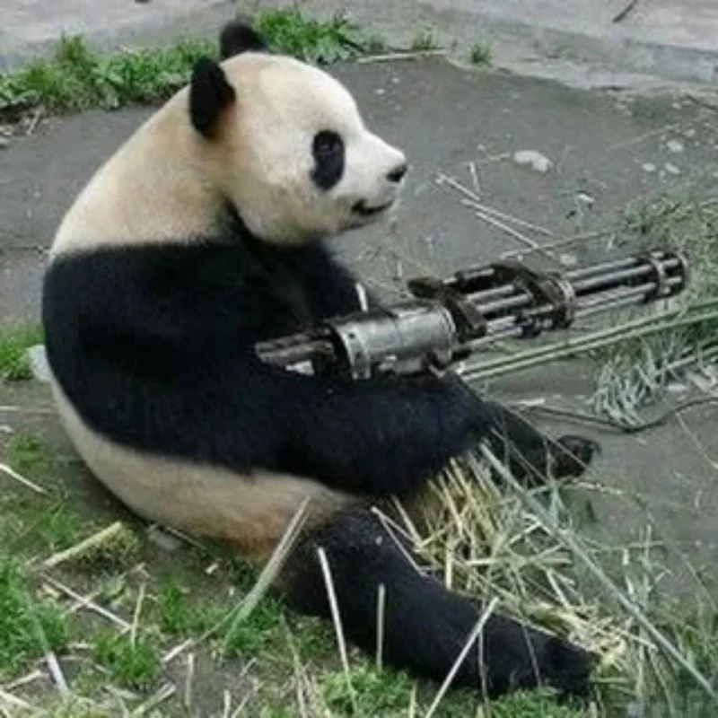 Xả stress ngay với tấu hài meme gấu trúc bựa weibo cực hài