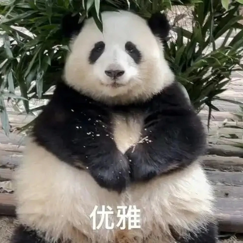 Nạp vitamin cười cùng vui nhộn meme gấu trúc bựa weibo