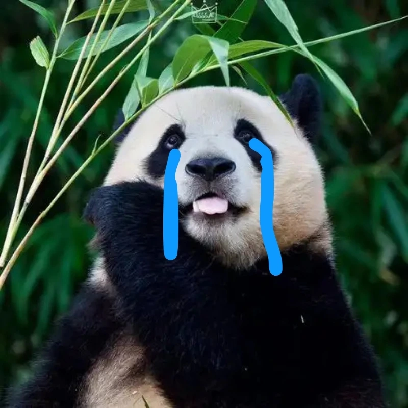 Không thể nghiêm túc nổi với meme gấu trúc bựa weibo