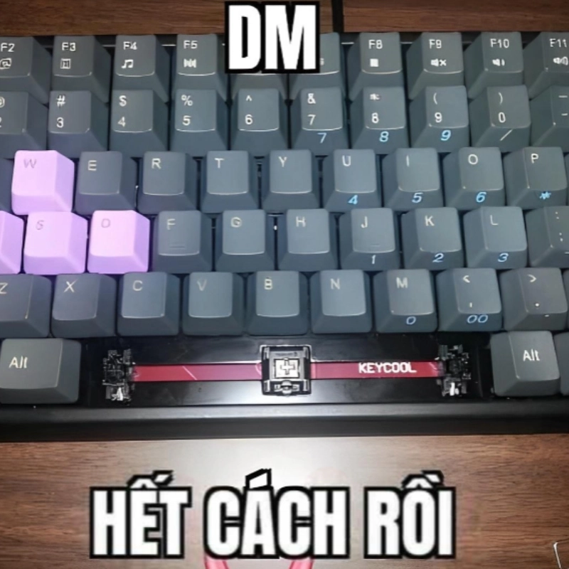 Meme hết cách rồi, không còn đường nào để xoay sở nữa