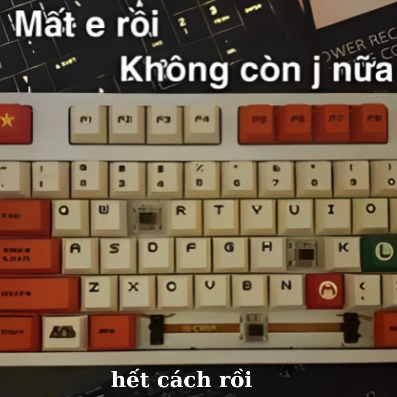Phiên bản rút gọn của meme hết cách r, ai cũng thấy hợp lý