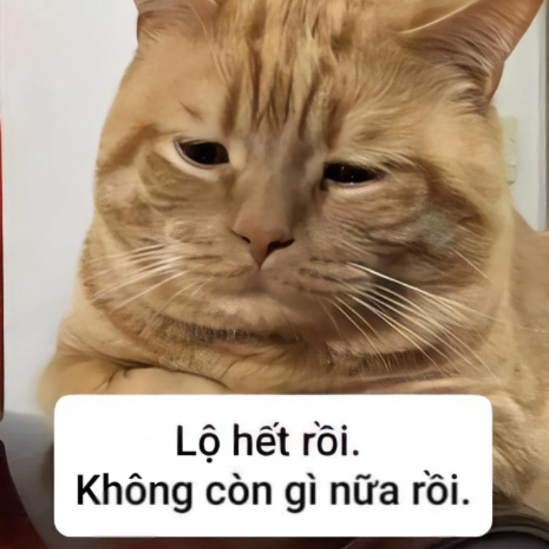 Hết cách rồi meme, ai cũng từng trải qua cảm giác này
