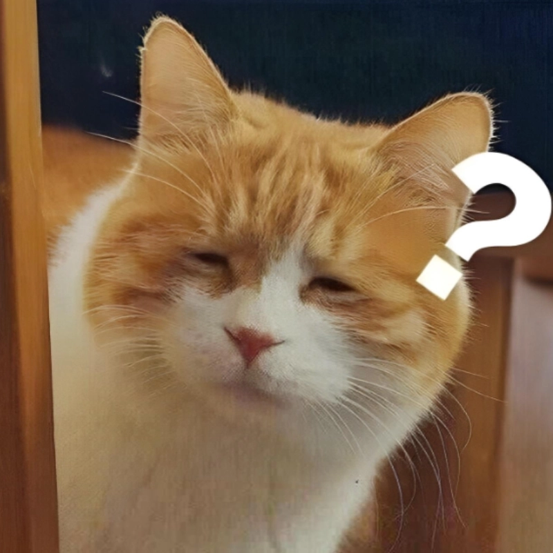 Khi bạn cố gắng hiểu mà đầu óc toàn meme mặt khó hiểu