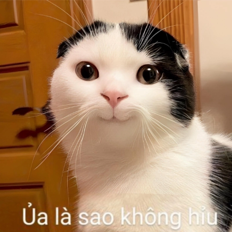 Khi bạn nghe xong câu chuyện và vẫn meme không hiểu