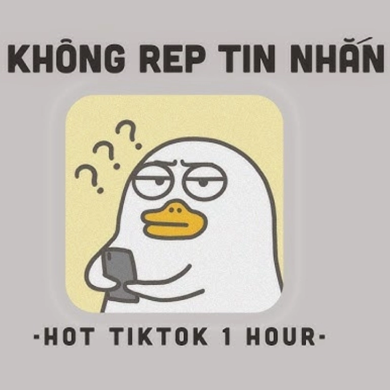 Khi bạn bị bơ một cách phũ phàng meme không rep tin nhắn