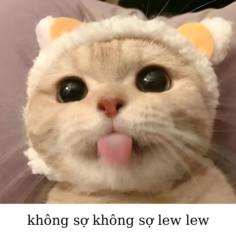 Khi bạn muốn tỏ ra mạnh mẽ meme không sợ