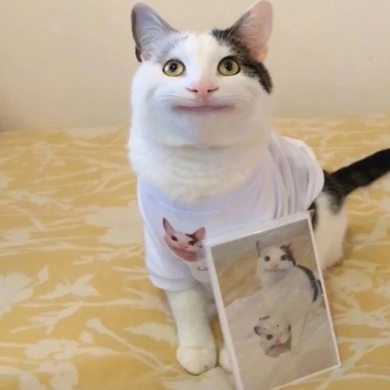 Biểu cảm lạnh lùng vô đối meme không cảm xúc
