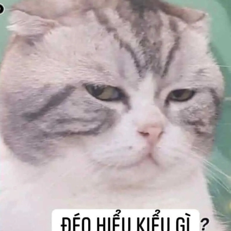 Khi ai đó lập luận quá ảo diệu meme không hiểu kiểu gì