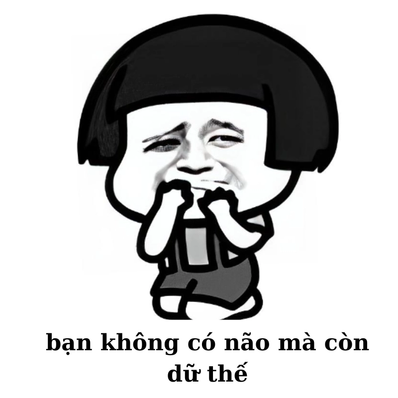 Khi ai đó nói chuyện vô lý và bạn chỉ có meme không não