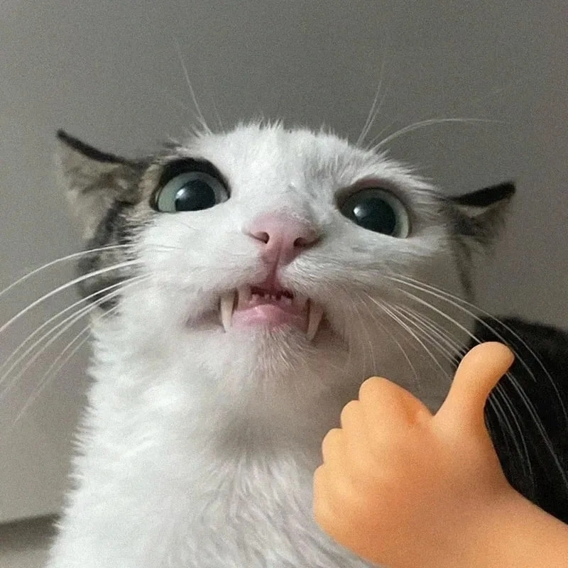 Khi bạn tỏ ra không quan tâm like i care meme