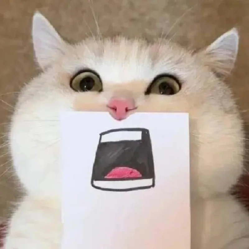 Trọn bộ meme mèo bựa cute mới nhất không thể bỏ qua