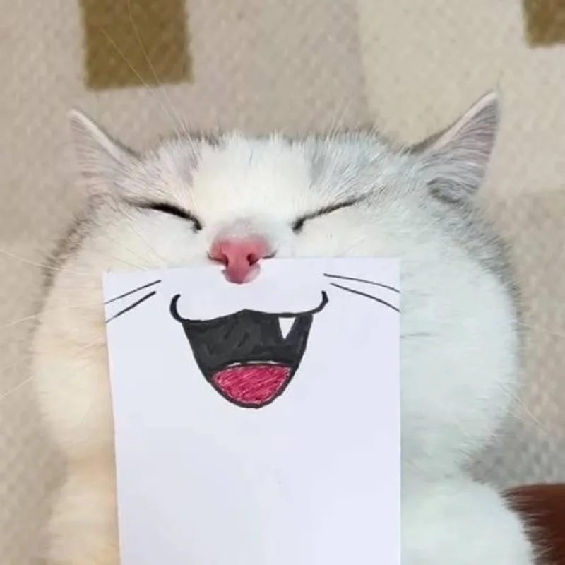 Cười bể bụng với ảnh mèo meme bựa cute hot nhất hiện nay
