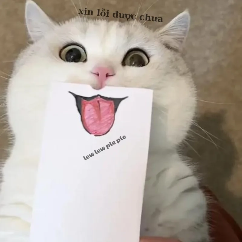 Đừng bỏ lỡ những meme ảnh mèo bựa cute cực bá đạo
