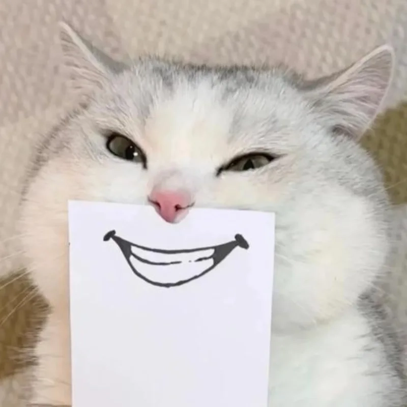 Loạt chế meme ảnh mèo bựa cute khiến dân mạng cười nghiêng ngả