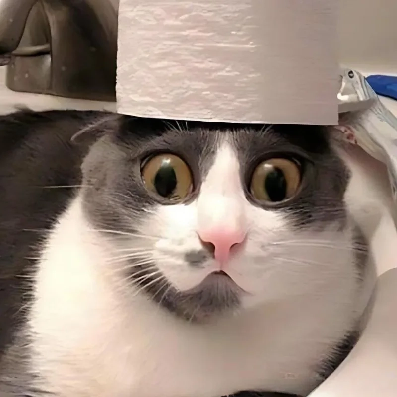 Độ bàng hoàng max level với bựa há mồm meme mèo cười