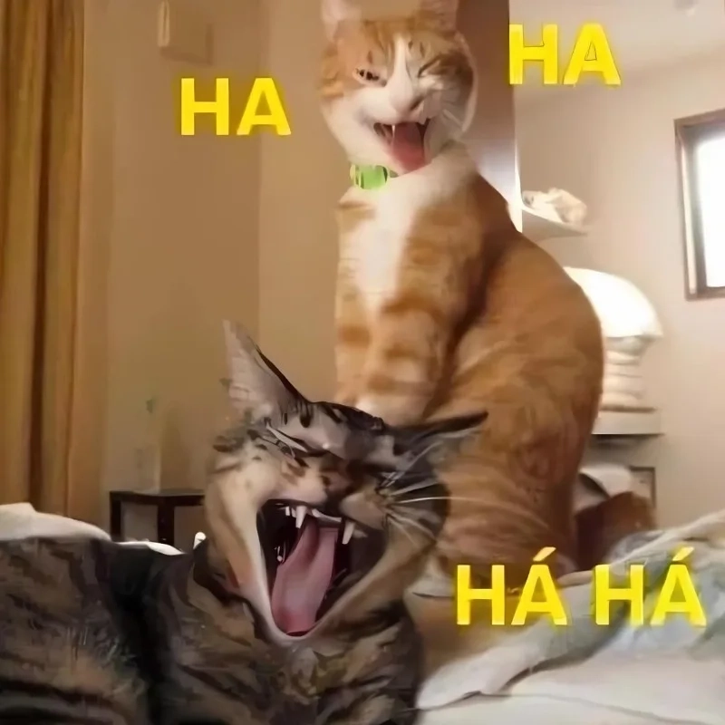 Khi bạn thấy gì đó đáng khinh bỉ meme mèo cười đểu