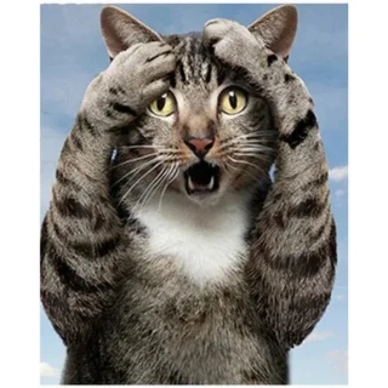 Cười bể bụng với hai chữ trong sạch meme mèo cực hài