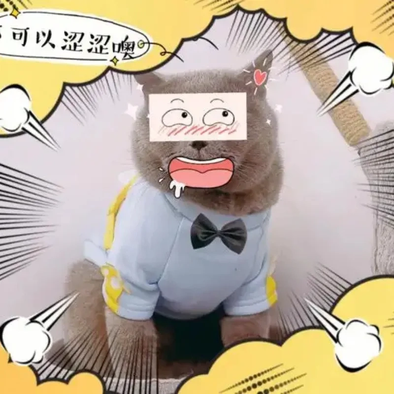 Kho ảnh mèo hài bựa ảnh meme đang gây bão mạng