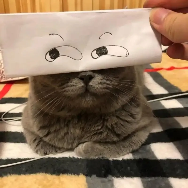 Cười thả ga với những meme hài ảnh mèo bựa chất lừ