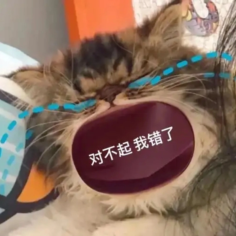 Khi bạn buồn nhưng vẫn phải cười meme mèo khóc thét