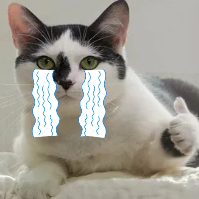 Một chiếc meme mèo khóc like đầy cảm xúc