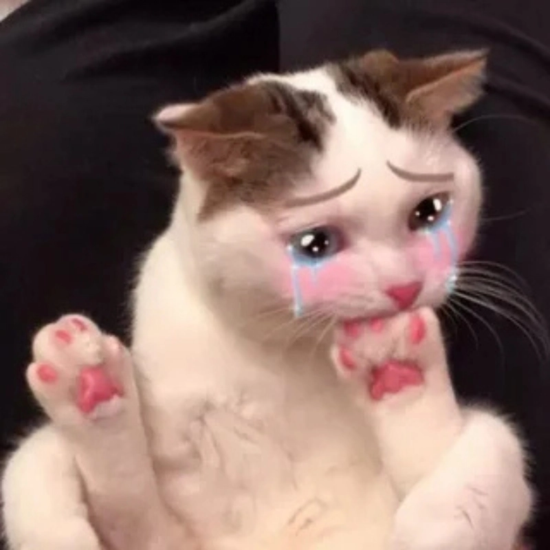 Đắng lòng quá meme mèo khóc che miệng