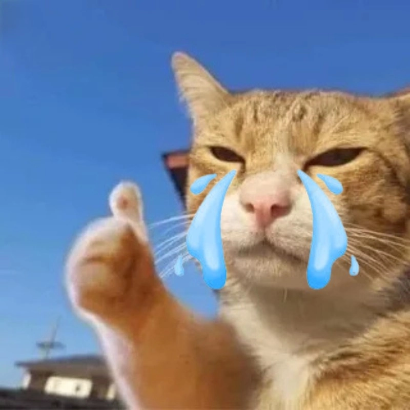 Một cái meme mèo like khóc chất lượng cao