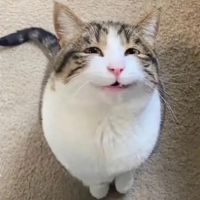 Khi thấy ai đó gặp karma với nhếch mép meme