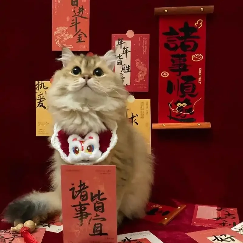 Xem ngay ảnh mèo tết 2024 meme cười hết nấc