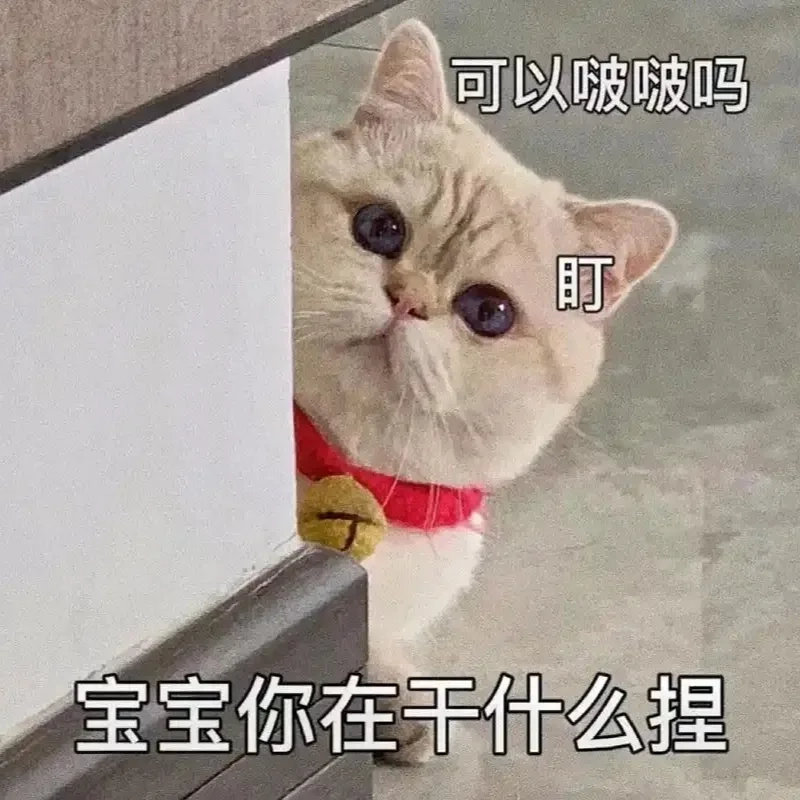 Thêm tiếng cười mỗi ngày với hình con mèo hài hước cực dễ thương