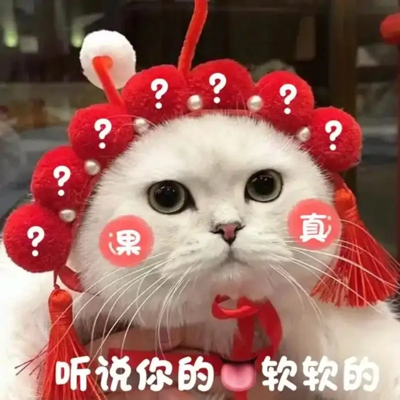 Đổi ngay avatar mèo hài hước cho hội cuồng mèo